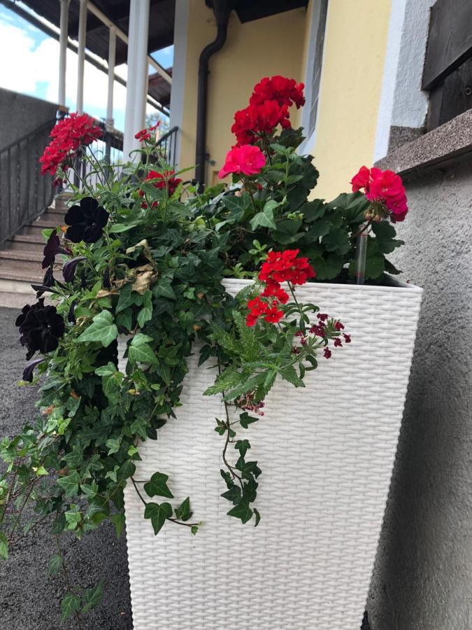 Art Chic - Your Exklusive Stay Grödig Eksteriør bilde